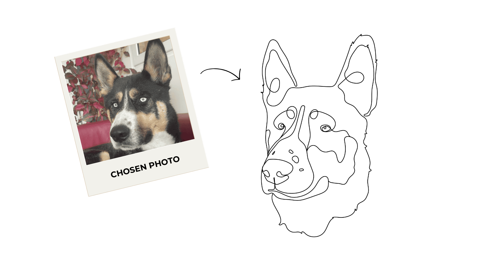 Polaroid-style photo of a dog with a line drawing of a dog's face on a green background.