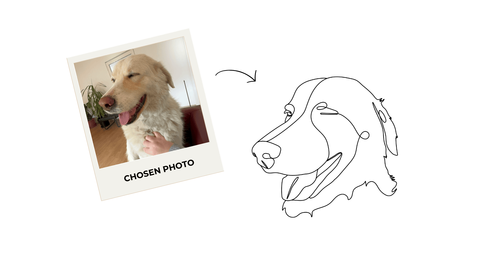 Polaroid-style photo of a dog with a line drawing of a dog on a green background