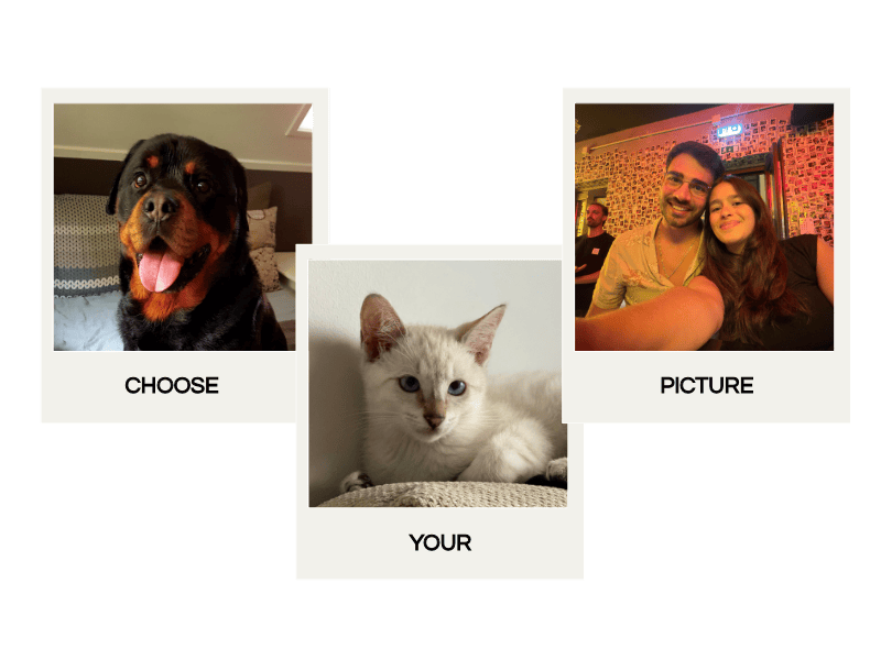 Collage of a dog, cat, and people with text prompts on a green background