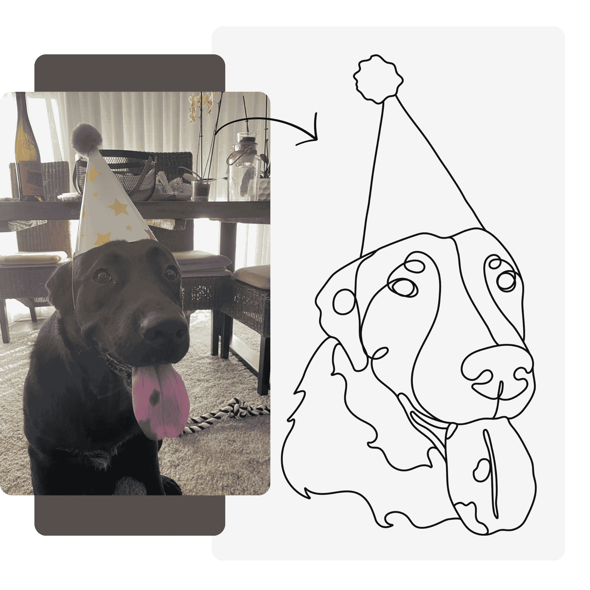 Dog wearing a party hat with a line drawing of the same dog on a white background.