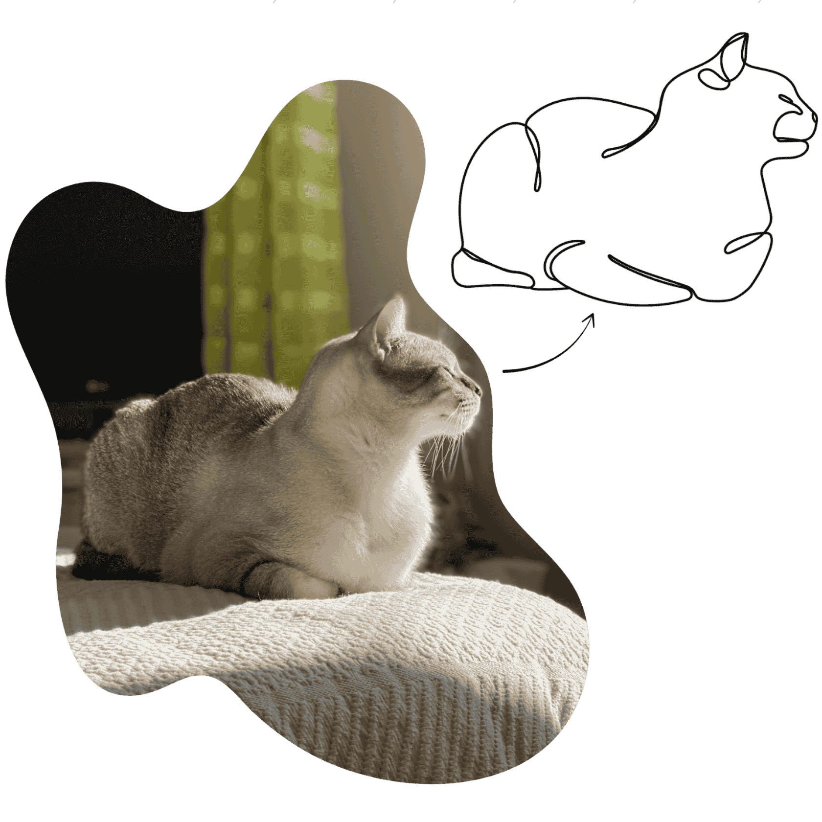 Cat sitting on a cushion with a green background and a line drawing of a cat.