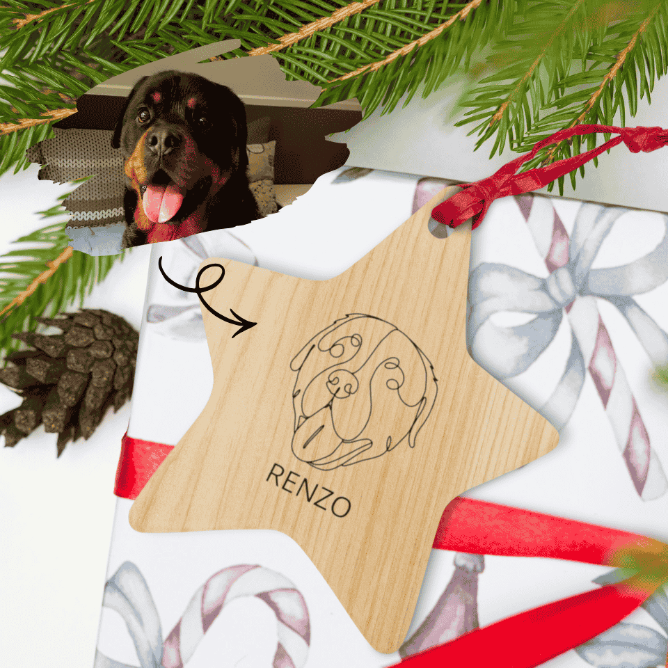 Wooden star-shaped ornament with dog illustration and 'RENZO' text, surrounded by Christmas decorations.