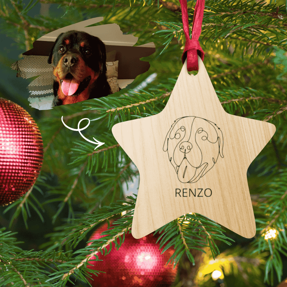 Star-shaped wooden ornament with a dog's name on it, hanging on a Christmas tree.