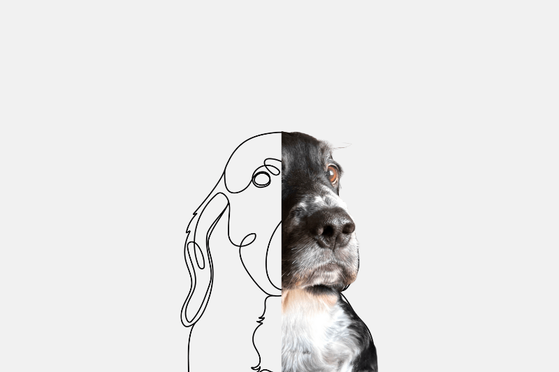 Fine Line Design
